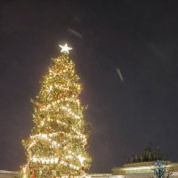 Прощаемся до декабря! :: Ольга 