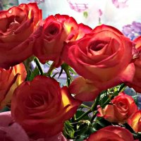 Розы :: Елена Семигина