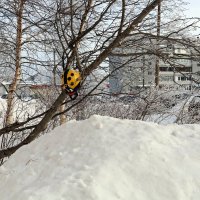 Приплыли... :: Ольга 