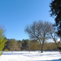 Зимний  пейзаж :: Валентин Семчишин