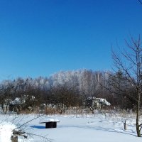 садовые участки зима :: Владимир садовые участки зима :: Владимир