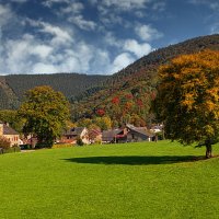 Осенним цветом Айфель зацвели :: Valziwa 