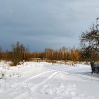 А за околицей лес... :: Alex Sash А за околицей лес... :: Alex Sash