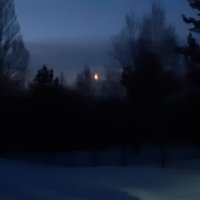 Вот и новый год ... :: Галина Минчук Вот и новый год ... :: Галина Минчук