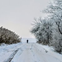 Зима. :: Владимир 