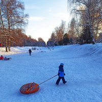 Из прогулки в зимний солнечный день :: svk *