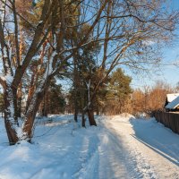 ... :: василий