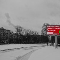 50 оттенков серого в Петербурге :: Елена K 50 оттенков серого в Петербурге :: Елена K