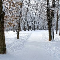 Зимний парк :: Милешкин Владимир Алексеевич 
