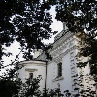 Сквозь ветви.. :: Натали Сквозь ветви.. :: Натали