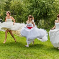 Парад невест :: SanSan 