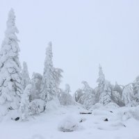 Зимняя сказка :: Галина Ильясова