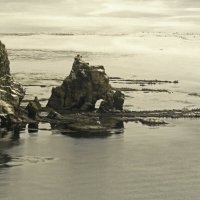 На Охотском море :: ИРЭН@ . На Охотском море :: ИРЭН@ .