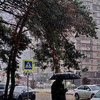Шёл дождь со снегом... :: Николай Саржанов