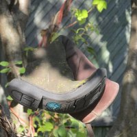 дачный этюд :: Елена Шаламова