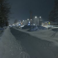 ... :: Жора Житников