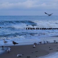 Балтийское море :: Рита Симонова Балтийское море :: Рита Симонова