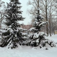 Снежный январь :: Мария Васильева Снежный январь :: Мария Васильева