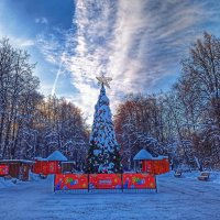 Из прогулки в зимний солнечный день :: svk *