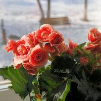 А за бортом минус 20.... :: Андрей Заломленков