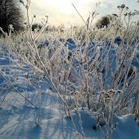Красота вдоль дороги :: В.И 