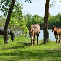 С мамой. :: Виктор 