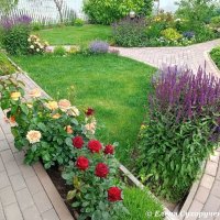 Цветочная клумба :: Елена Сухорученкова