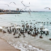 *** :: Дмитрий Лупандин *** :: Дмитрий Лупандин