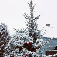 ** :: Сергей Кочнев