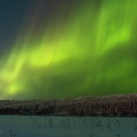 Полярное сияние в Ухте, 20 января :: Николай Зиновьев