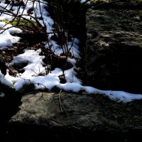 Южная зима - 9 :: Алексей Кузнецов