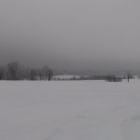Поле в снегу :: fogmeadowww m