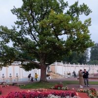 Парк К :: Veera V