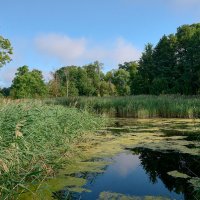 Лето, лето 2 :: Genych Bartkus