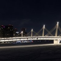 Велопешеходный мост :: Дмитрий И_