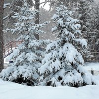 В городском парке :: Галина Нестратова