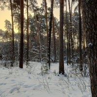 На рассвете :: Любовь Сахарова На рассвете :: Любовь Сахарова