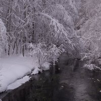 ... :: Жора Житников