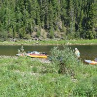 На берегу. :: ВикТор Быстров