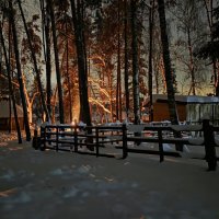 . :: РИТА ЛЕВКОВА