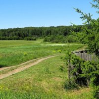 Июнь :: Лариса С.