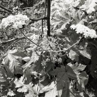 Фотография :: Денис Безногов Фотография :: Денис Безногов