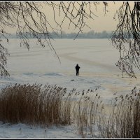 *** :: Aleksandr Gal