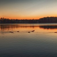 Разлив реки Чёрной. :: Лилия *