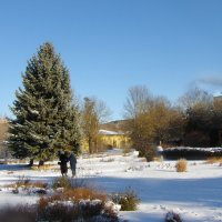 Пришли  ёлочку  проведать :: Валентин Семчишин