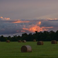Утро в поле. :: Константин 