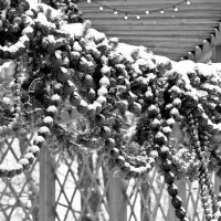 Серия "До Нового 2027 года осталось..." :: Михаил Серия "До Нового 2027 года осталось..." :: Михаил