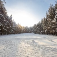 Зимний солнечный пейзаж :: Александр Синдерёв