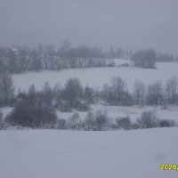 Рядки деревьев :: fogmeadowww m