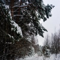 Ни следа :: sorovey Sol Ни следа :: sorovey Sol